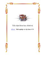 Tiểu luận khoa học chính trị: Thất nghiệp và việc làm ở VN ppsx