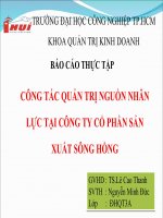 Báo cáo: Công tác quản trị nguồn nhân lực tại công ty cổ phần sản xuất sông Hồng pptx