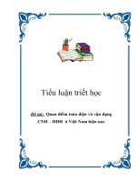 Tiểu luận triết học: Quan điểm toàn diện và vận dụng CNH - HĐH pot