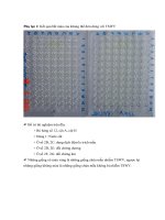 Luận văn : NGHIÊN CỨU HIỆN TRẠNG NHIỄM BỆNH TSWV (Tomato spotted wilt virus) TRÊN CÂY ỚT BẰNG KỸ THUẬT ELISA VÀ BƢỚC ĐẦU XÂY DỰNG PHƯƠNG PHÁP CHẨN ĐOÁN BẰNG KỸ THUẬT RT - PCR part 9 doc