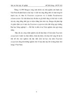 Luận văn : Nghiên cứu bệnh héo vàng (Fusarium oxysporum) hại một số cây trồng cạn vụ hè thu năm 2007 tại vùng Gia Lâm - Hà Nội và thử nghiệm chế phẩm sinh học phòng trừ bệnh part 2 ppt