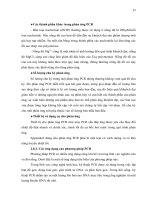 Luận văn : XÁC ĐỊNH GEN GÂY ĐỘC VÀ TÍNH ĐA DẠNG DI TRUYỀN CỦA NẤM Metarrhizium anisopliae KÝ SINH TRÊN CÔN TRÙNG part 5 ppt