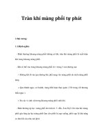 Tràn khí màng phổi tự phát potx