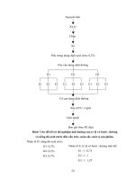 Luận văn : Chế biến sản phẩm vỏ bưởi tẩm đường part 4 ppt