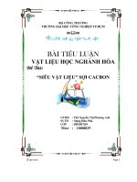 Đề tài siêu vật liệu và sợi cacbon