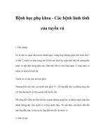 Bệnh học phụ khoa - Các bệnh lành tính của tuyến vú pot