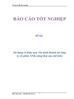 Đề tài: Sử dụng có hiệu quả vốn kinh doanh tại công ty cổ phần XNK nông lâm sản chế biến ppsx