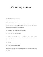 SỎI TÚI MẬT – Phần 2 potx