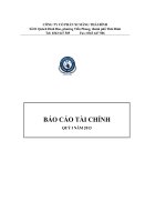 báo cáo tài chính công ty cổ phần xi măng thái bình quý 1 năm 2013