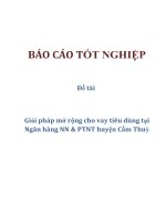 Đề tài: Giải pháp mở rộng cho vay tiêu dùng tại Ngân hàng NN & PTNT huyện Cẩm Thuỷ pot