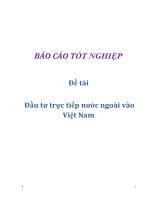 Đề tài: Đầu tư trực tiếp nước ngoài vào Việt Nam pot
