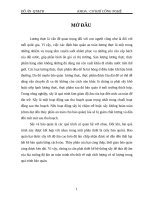 Thiết kế hệ thống băng tải sấy thóc 350 kg giờ