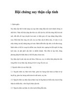 Hội chứng suy thận cấp tính docx