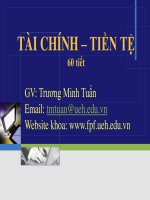 Bài giảng Tài chính tiền tệ - Trương Minh Tuấn pptx