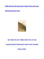 Nhiễu điều phủ lấy giá gương ppt