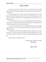 Bao cao tom tat pptx