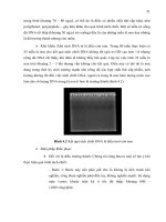 Luận văn : Bước đầu đánh giá mức độ đa dạng di truyền của quần thể điều (Anacardium occidental L.) tại tỉnh Bà Rịa – Vũng Tàu bằng kỹ thuật RAPD và AFLP part 6 ppt