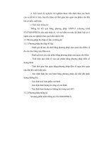 Luận văn : KHẢO SÁT ẢNH HƯỞNG CỦA PHỤ GIA ĐẾN CHẤT LƯỢNG CỦA BÁNH TRÁNG RẾ part 4 pot