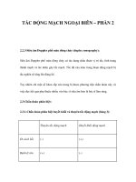 TẮC ĐỘNG MẠCH NGOẠI BIÊN – PHẦN 2 ppt