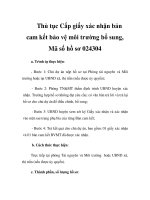 Thủ tục Cấp giấy xác nhận bản cam kết bảo vệ môi trường bổ sung, Mã số hồ sơ 024304 doc