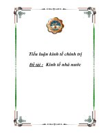 Tiểu luận kinh tế chính trị: Kinh tế nhà nước ppt