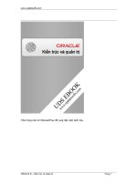Kiến Trúc Quản Trị ORACLE 9I - ORACLE SEVER (Việt Sub) Phần 1 pps