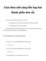 Giao thoa ánh sáng hỗn hợp hai thành phần đơn sắc docx