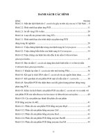 Luận văn : PHÂN TÍCH ĐA DẠNG DI TRUYỀN MỘT SỐ MẪU NẤM Corynespora cassiicola (Berk. & Curt.) Wei GÂY BỆNH TRÊN CÂY CAO SU (Hevea brasiliensis Muell. Arg.) BẰNG PHƯƠNG PHÁP RFLP – PCR part 2 pps