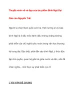 Thuyết minh về vẻ đẹp của tác phẩm Bình Ngô ĐạiCáo ppt