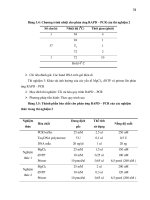 Luận văn : Đánh giá sơ bộ mức độ đa dạng di truyền của quần thể điều (Acanardium occidentale L.) hiện được trồng tại tỉnh Ninh Thuận bằng kỹ thuật RAPD và AFLP part 4 pps