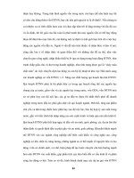 Giải pháp thu hút vốn FDI của EU vào Việt Nam - 10 ppsx