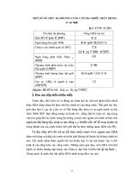 Luận văn tốt nghiệp : Quá trình hình thành nên các hệ thống kinh tế từ nguồn quỹ đầu tư nước ngoài (ODA) phần 3 docx