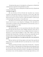 Luận văn : Đánh giá ảnh hưởng của chế phẩm phối trộn giữa dịch chiết từ nhân hạt xoan chịu hạn (Azadirachta indica A.Juss) trồng tại Việt Nam và Cypermethrine đối với sâu xanh (Heliothis armigera) part 3 pot