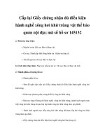 Cấp lại Giấy chứng nhận đủ điều kiện hành nghề xông hơi khử trùng vật thể bảo quản nội địa; mã số hồ sơ 145132 pdf