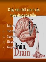Chảy máu chất xám ở các nước đang phát triển pptx