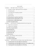 Tổng quan tài liệu về gelatin và ứng dụng của nó trong công nghệ thực phẩm 2