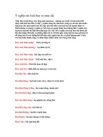 Y ́ nghĩa cać loaì hoa va ̀ maù săć ppsx