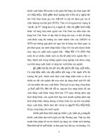 Luận văn tốt nghiệp : Mục tiêu của Việt Nam trên thị trường EU phần 2 pot