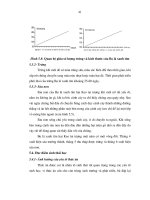 Luận văn : Nghiên cứu đặc điểm sinh học của côn trùng thuộc Bộ Cánh cứng hại lá keo và những phương pháp phòng trừ chúng tại huyện Phú Lương tỉnh Thái Nguyên part 5 potx