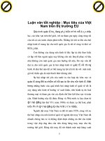 Luận văn tốt nghiệp : Mục tiêu của Việt Nam trên thị trường EU phần 1 pdf
