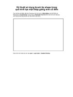 Kỹ thuật sử dụng brush tip shape trong quá trình tạo một thiệp giáng sinh cổ điển p1 ppt