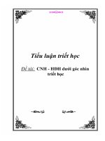 Tiểu luận triết học: CNH - HĐH dưới góc nhìn triết học pptx