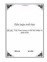 Tiểu luận triết học: VN trong xu thế hội nhập và phát triển doc