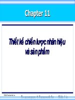 SLIDE - Thiết kế chiến lược nhãn hiệu và sản phẩm ppsx