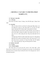 Luận văn : XÁC ĐỊNH GEN GÂY ĐỘC VÀ TÍNH ĐA DẠNG DI TRUYỀN CỦA NẤM Metarrhizium anisopliae KÝ SINH TRÊN CÔN TRÙNG part 6 doc