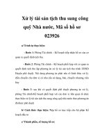 Xử lý tài sản tịch thu sung công quỹ Nhà nước, Mã số hồ sơ 023926 potx