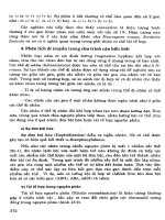 Advanced Biology - Lý Thuyết Di Truyền, Di Truyền Phân Tử Phần 7 ppsx