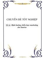 CHUYÊN ĐỀ TỐT NGHIỆP - Định hướng chiến lược marketing cho Sunrise doc