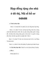 Hợp đồng tặng cho nhà ở đô thị, Mã số hồ sơ 048488 pps