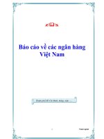 Báo cáo về các ngân hàng Việt Nam ppt